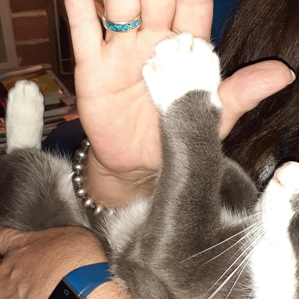 Meet your Posher, Karen